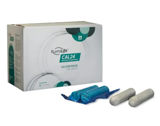 RumiLife CAL24 bolus | 24st