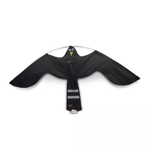 Black Hawk Kite | los