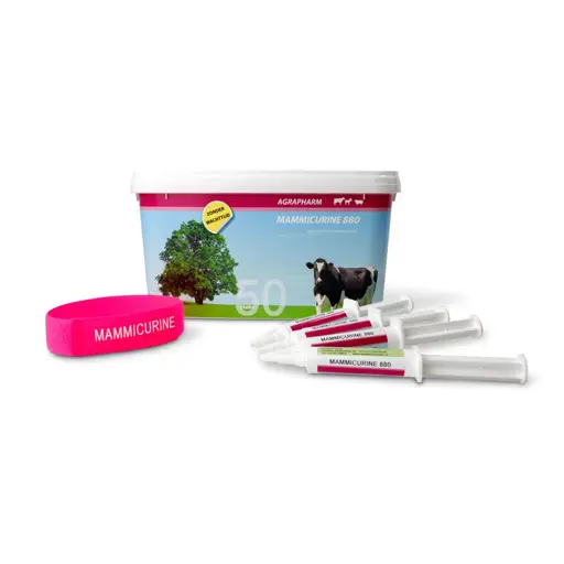 Mammicurine-880 mastitis injectoren 50st