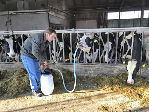 cow-drencher-foto3.jpg