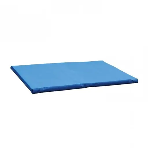 Ontsmettingsmat blauw | 85x60x3cm