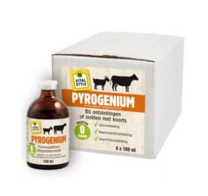 VITALstyle Pyrogenium 6-pack
