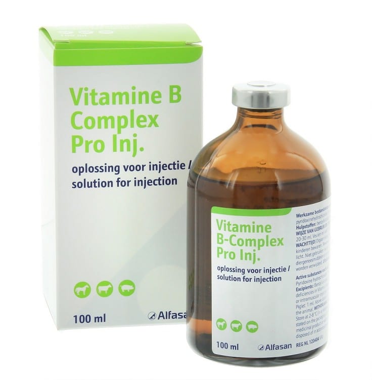 Dubbelzinnig gebed controller Vitamine B-Complex Pro Inj. - 100ml - Sietse Jorna