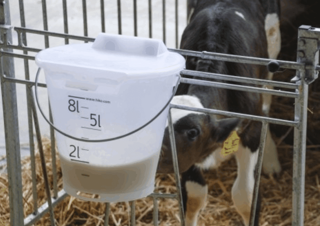 Biestkwaliteit - Sietse Jorna