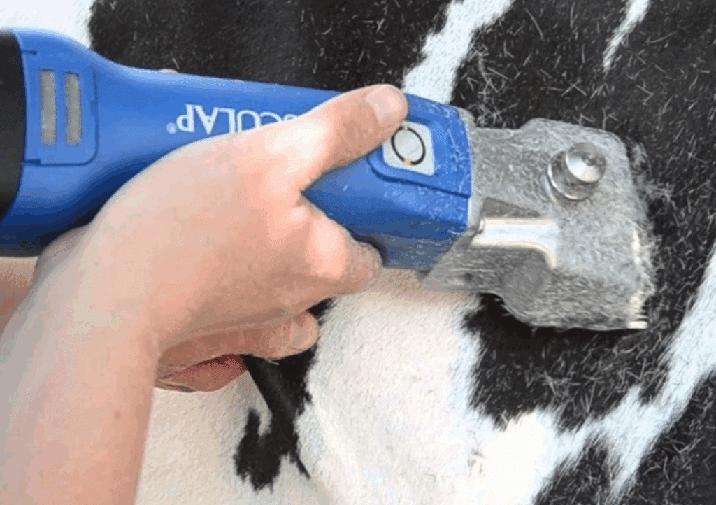 Onderhoud van de veescheermachine - Sietse Jorna