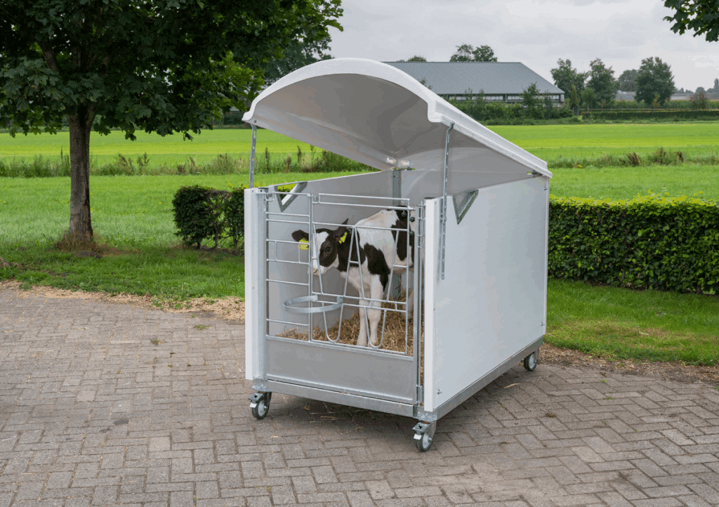 Wat is het beste kalverhok?-Sietse Jorna