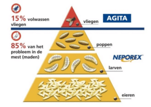 vliegenbestrijding bij vee
