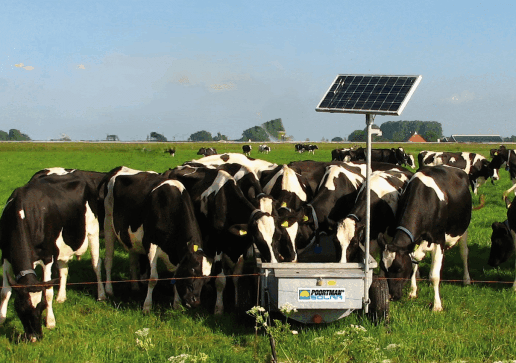Weidedrinkbak voor koeien-Sietse Jorna