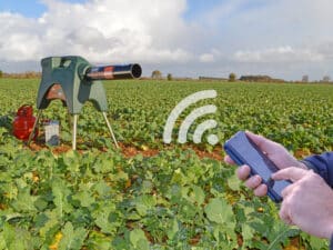 vogelverschrikkers-Sietse Jorna