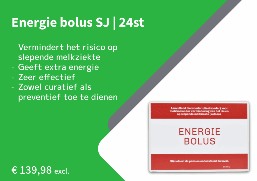 Energie bolus SJ-24st - Sietse Jorna