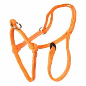 Halster koe nylon Premium | oranje