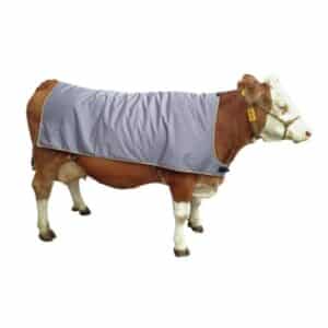 Koedek thermo | 175cm