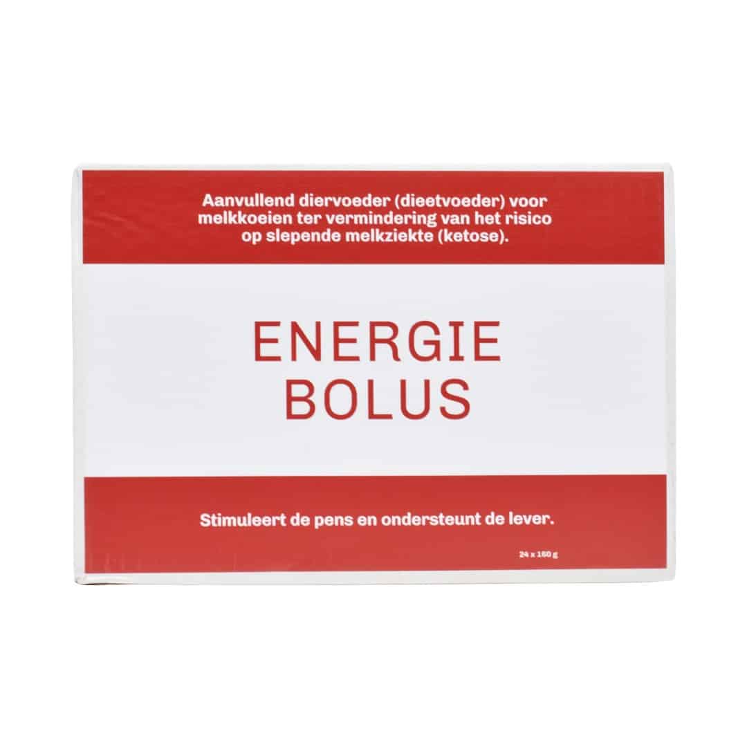 Energie bolus SJ | 24st