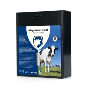 Magnesium bolus | 4st