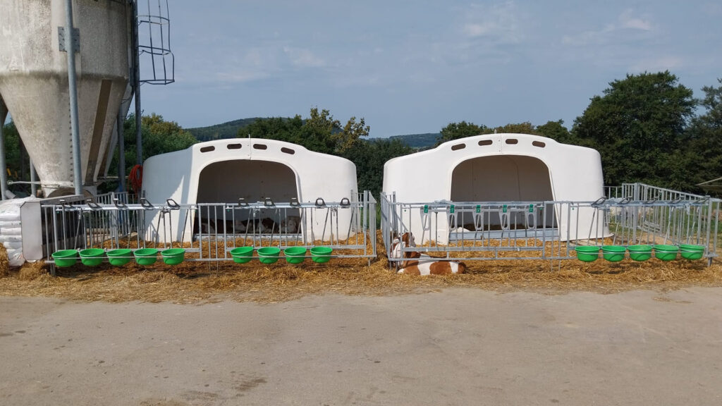 Kalverhok CalfOTel XL-10 groepshok met hekwerk en manueel opsluithek - Afbeelding 3