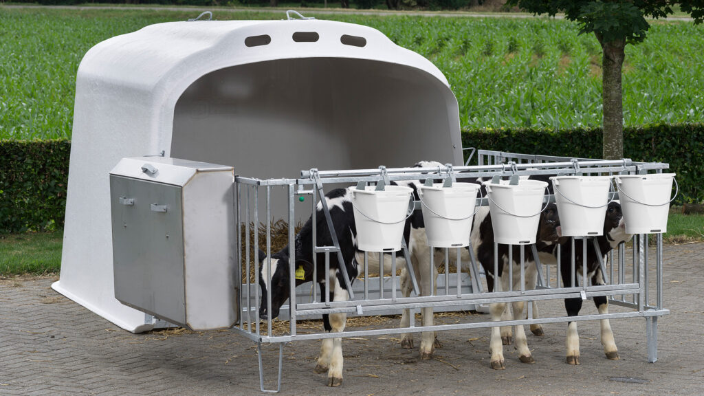 Kalverhok CalfOTel XL-5 groepshok met hekwerk en manueel opsluithek - Afbeelding 3