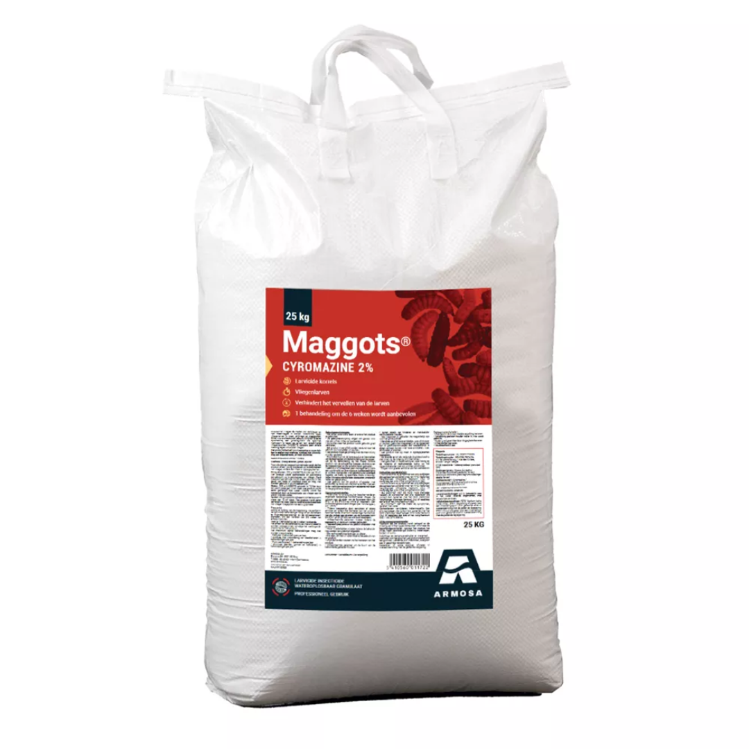 Maggots | 25kg